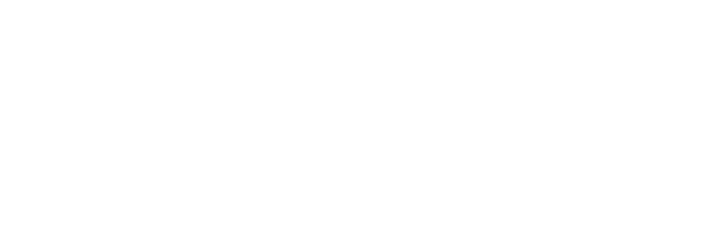 Talio Årsregnskab